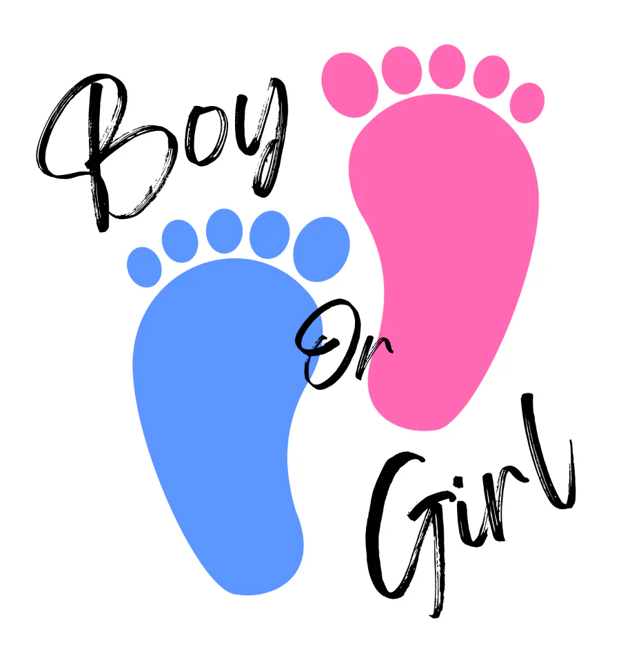 Baby Shower Gender Reveal Design Drink Toppers - Image 4